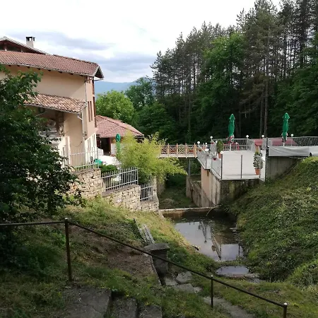 семеен свети георги Elena