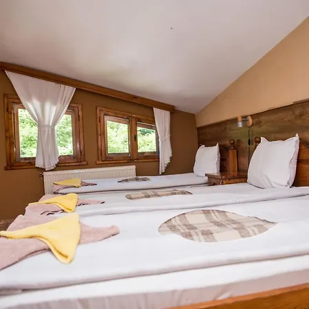 семеен свети георги 2*